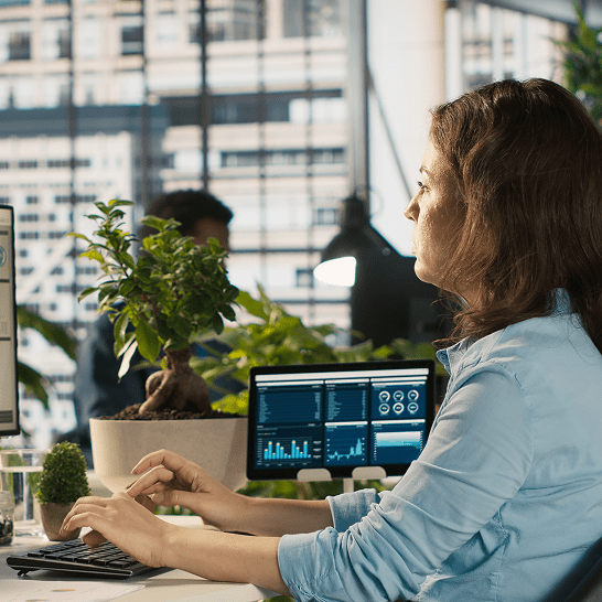 business central project