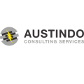 austindo consulting services